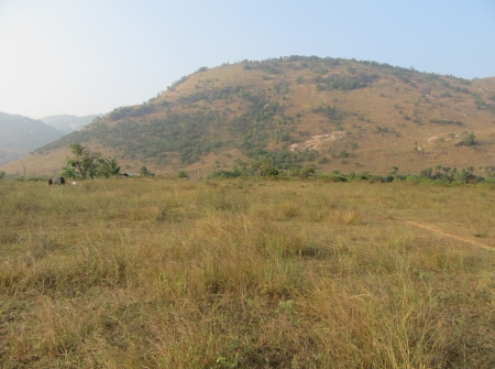  96 Cents North Facing Land for Sale Near Rayala Cheruvu Road, Tirupati